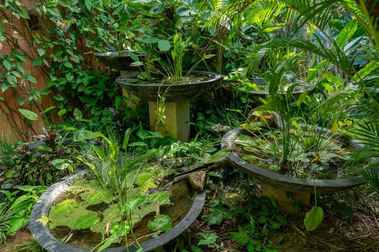 D卡纳尔住宿加早餐旅馆 米瑞莎 外观 照片